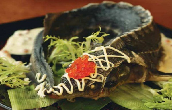 Горячие блюда на Новый 2021 год — что можно приготовить нового и интересного на новогодний стол Горячие блюда на Новый 2021 год — что можно приготовить нового и интересного на новогодний стол