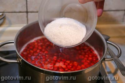 Компот из калины Компот из калины