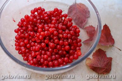 Компот из калины Компот из калины