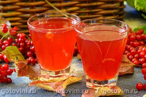 Компот из калины Компот из калины