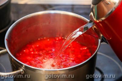 Компот из калины Компот из калины