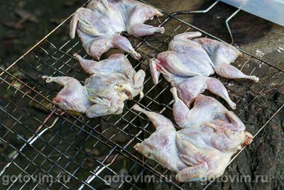 Перепела «тапака» на мангале Перепела «тапака» на мангале
