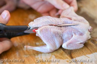 Перепела «тапака» на мангале Перепела «тапака» на мангале