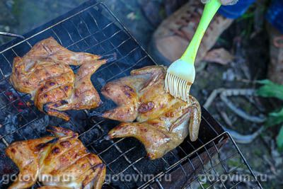 Перепела «тапака» на мангале Перепела «тапака» на мангале