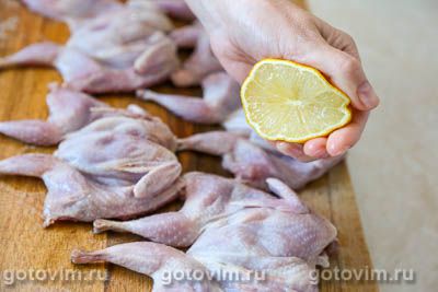 Перепела «тапака» на мангале Перепела «тапака» на мангале