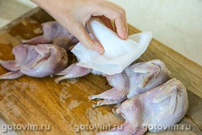 Перепела «тапака» на мангале Перепела «тапака» на мангале