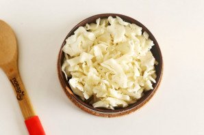 Волынский борщ