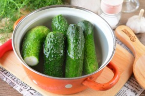 Малосольные огурцы с укропом и чесноком