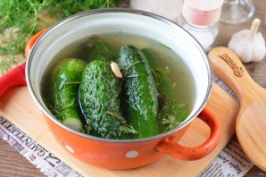 Малосольные огурцы с укропом и чесноком