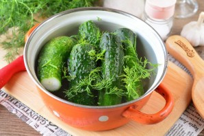 Малосольные огурцы с укропом и чесноком