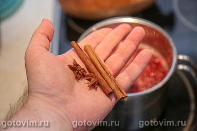 Морс клюквенный с корицей и бадьяном Морс клюквенный с корицей и бадьяном