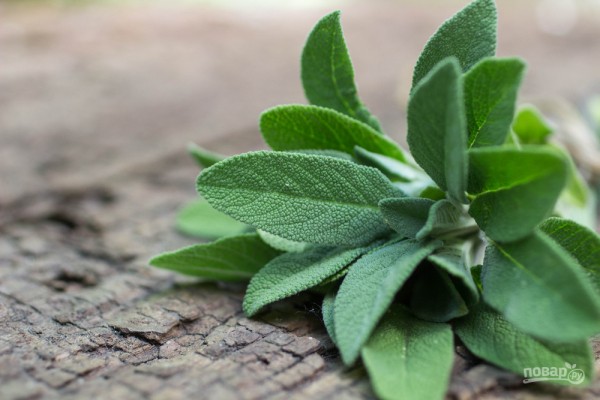 Неожиданные факты про специи, которые вы, возможно, еще не знаете Неожиданные факты про специи, которые вы, возможно, еще не знаете