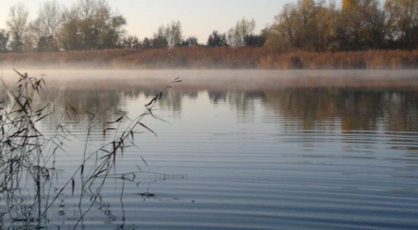Жареные караси, пошаговый рецепт с фото Жареные караси, пошаговый рецепт с фото
