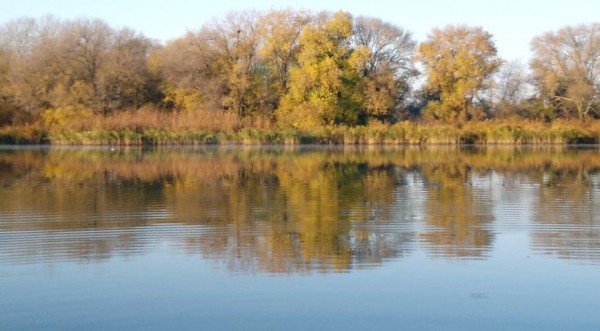 Жареные караси, пошаговый рецепт с фото Жареные караси, пошаговый рецепт с фото