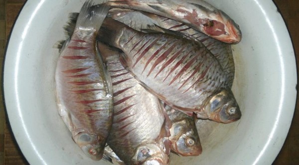 Жареные караси, пошаговый рецепт с фото Жареные караси, пошаговый рецепт с фото