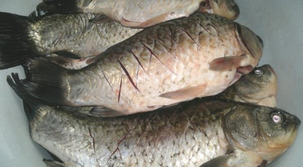 Жареные караси, пошаговый рецепт с фото Жареные караси, пошаговый рецепт с фото