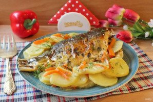 Карп на картофельной подушке