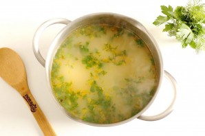 Щи из семги со свежей капустой