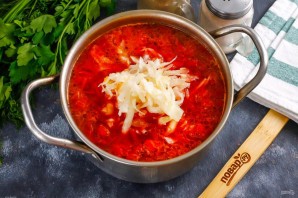 Борщ из гусятины