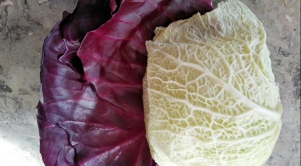 Букет из голубцов, пошаговый рецепт с фото