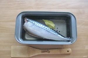 Засолка скумбрии