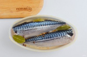 Скумбрия соленая