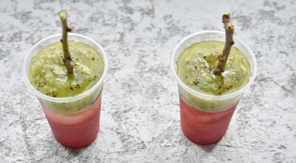 Сорбет, пошаговый рецепт с фото Сорбет, пошаговый рецепт с фото