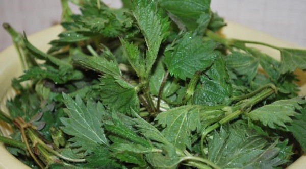 Пирог с крапивой и брынзой, пошаговый рецепт с фото