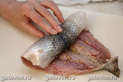 Рулет из сельди в горчичном маринаде, запеченный в духовке Рулет из сельди в горчичном маринаде, запеченный в духовке