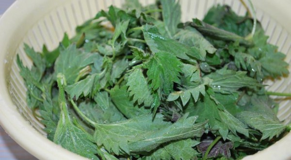 Суп-пюре с крапивой, пошаговый рецепт с фото Суп-пюре с крапивой, пошаговый рецепт с фото