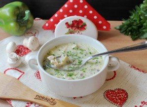 Сырный немецкий суп