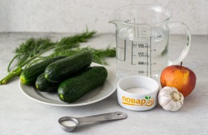 Быстрые малосольные огурчики Быстрые малосольные огурчики