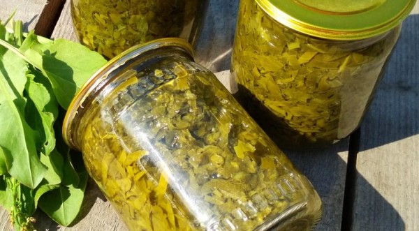Щавель в банках на зиму, пошаговый рецепт с фото