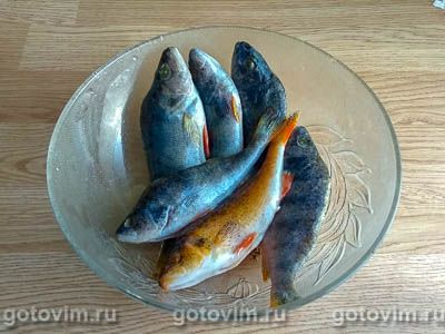 Уха из окуней и ершей Уха из окуней и ершей