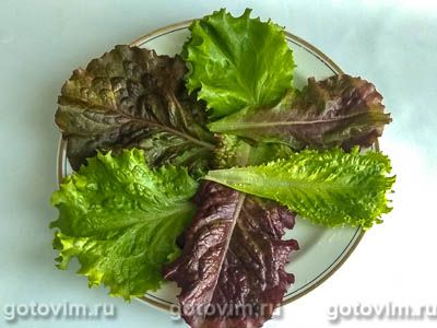 Салат из сыра с яйцом и красной редькой под острой заправкой Салат из сыра с яйцом и красной редькой под острой заправкой