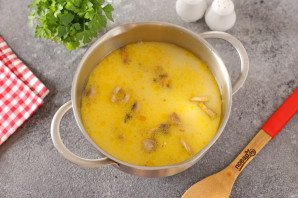 Грибной суп с баклажанами на молоке
