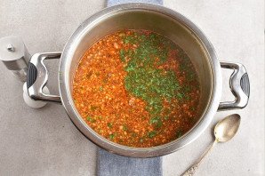 Харчо из говядины с ткемали