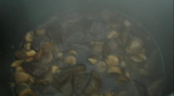 Лечо с грибами, пошаговый рецепт с фото