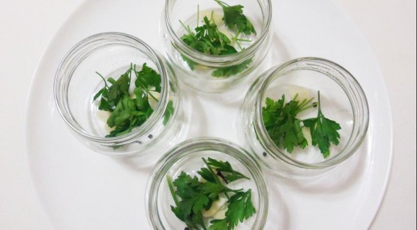 Кабачки по-венгерски на зиму, пошаговый рецепт с фото Кабачки по-венгерски на зиму, пошаговый рецепт с фото