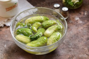 Малосольные огурцы с кинзой и чесноком