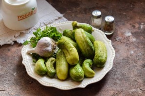 Малосольные огурцы с кинзой и чесноком