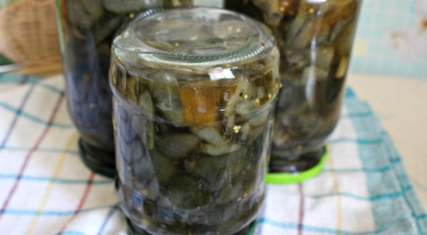 Маринованные моховики , пошаговый рецепт с фото Маринованные моховики , пошаговый рецепт с фото