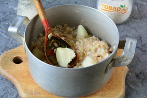 Овсяная каша с дыней