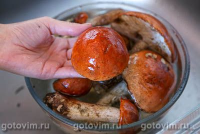 Суп из подосиновиков 