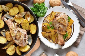 Голень индейки