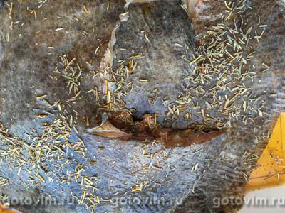 Камбала с розмарином и красным вином в рукаве для выпечки Камбала с розмарином и красным вином в рукаве для выпечки