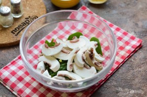 Салат с курицей, сельдереем и шампиньонами Салат с курицей, сельдереем и шампиньонами