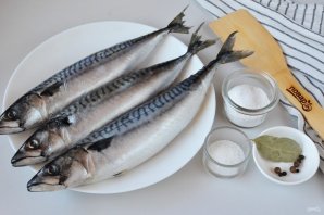 Скумбрия домашняя малосольная