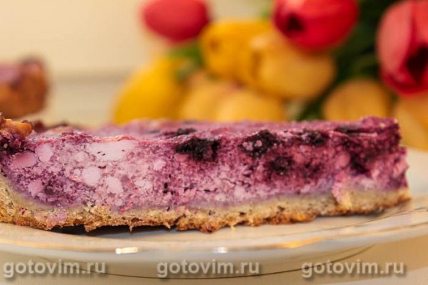 Пирог из теста на овсяных хлопьях с творогом и черникой Пирог из теста на овсяных хлопьях с творогом и черникой