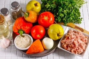 Эчмиадзинская долма